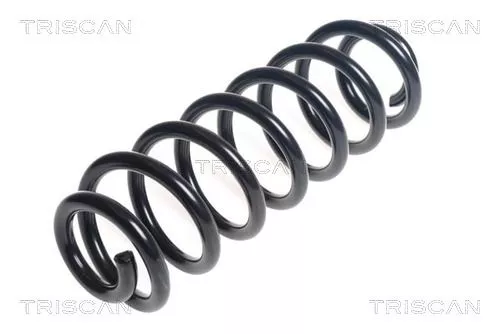 Veerophanging TRISCAN 8750 29391)