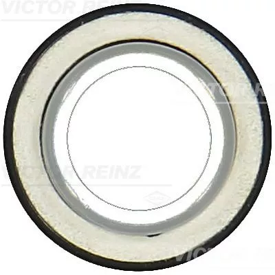 Asafdichting, nokkenas VICTOR REINZ 81-10559-00)