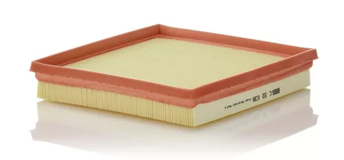 Luchtfilter MANN-FILTER C 22 038)