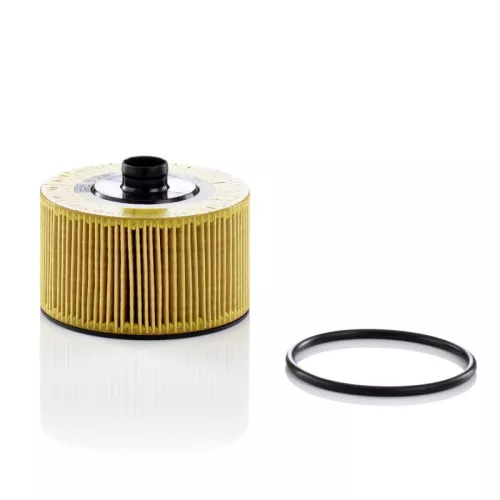 Oliefilter MANN-FILTER HU 10 002 z)