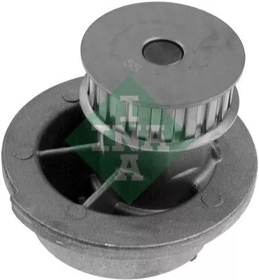 Waterpomp, motorkoeling Schaeffler INA 538 0313 10)