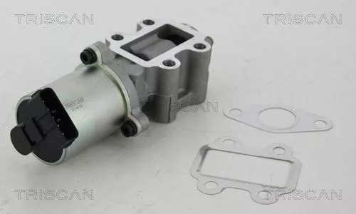 EGR-klep TRISCAN 8813 13102)