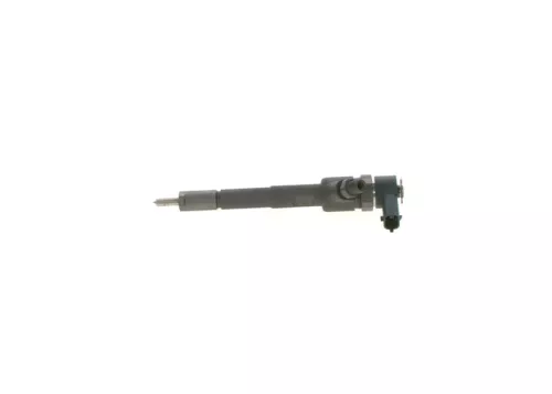 Injectormondstuk BOSCH 0 445 110 618)