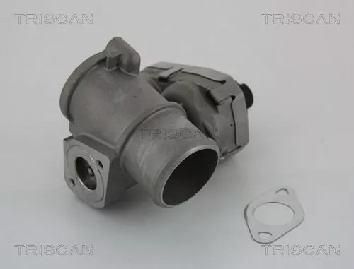 EGR-klep TRISCAN 8813 16101)