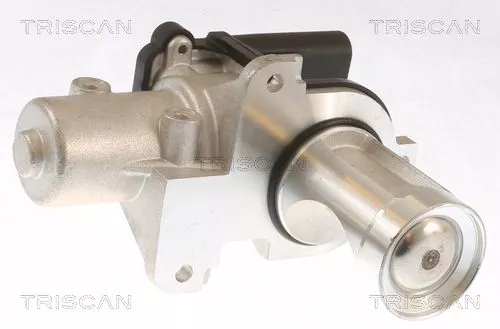 EGR-klep TRISCAN 8813 29101)