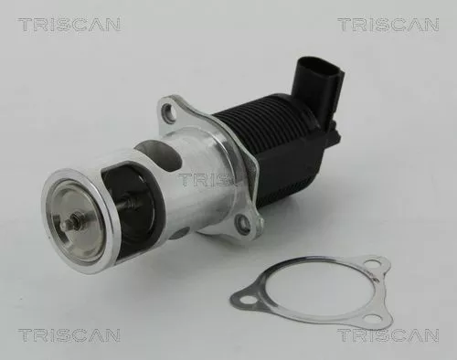 EGR-klep TRISCAN 8813 25038)
