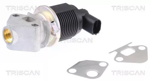EGR-klep TRISCAN 8813 29009)