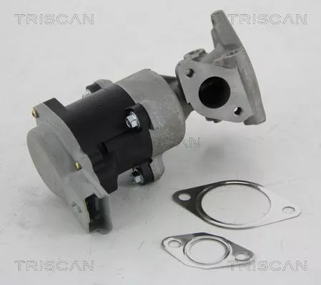 EGR-klep TRISCAN 8813 10008)