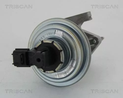 EGR-klep TRISCAN 8813 16045)
