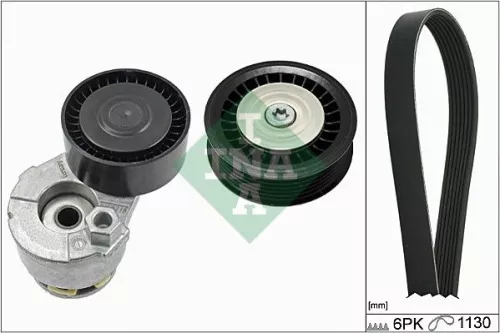 V-geribbelde riemset Schaeffler INA 529 0165 10)