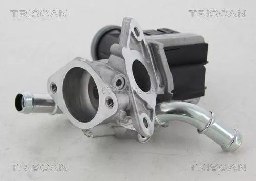 EGR-klep TRISCAN 8813 16036)