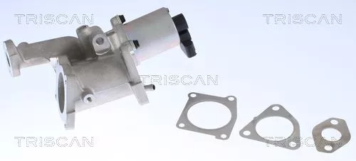 EGR-klep TRISCAN 8813 24022)