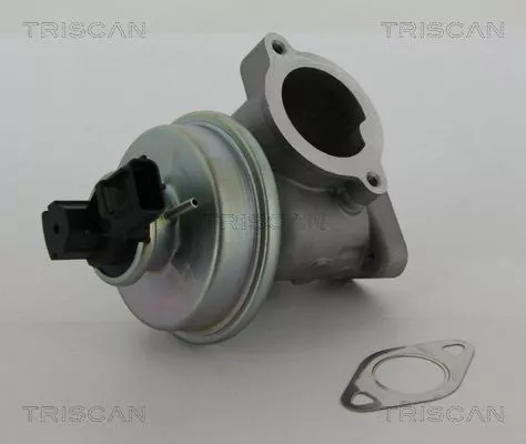 EGR-klep TRISCAN 8813 16012)