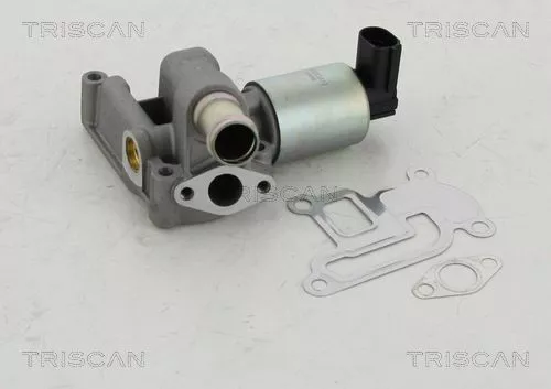 EGR-klep TRISCAN 8813 24003)