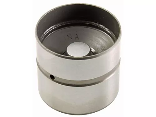 Stoter Schaeffler INA 420 0255 10)