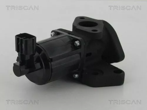 EGR-klep TRISCAN 8813 50007)