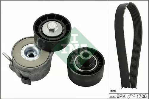 V-geribbelde riemset Schaeffler INA 529 0046 10)