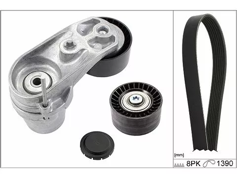 V-geribbelde riemset Schaeffler INA 529 0210 10)