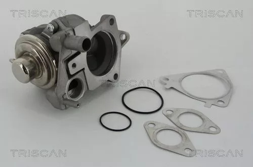 EGR-klep TRISCAN 8813 28019)