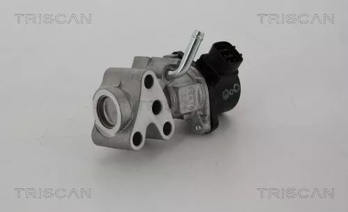 EGR-klep TRISCAN 8813 13028)