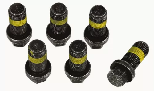 Schroevenset, vliegwiel SACHS 1874 000 069)