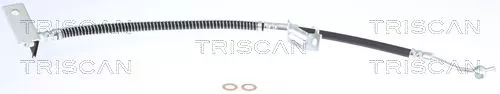 Remslang TRISCAN 8150 43169)