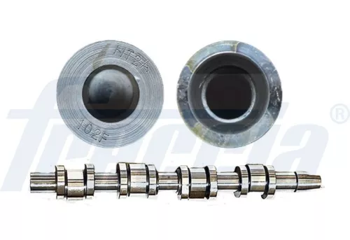 Nokkenas FRECCIA CM05-2181)