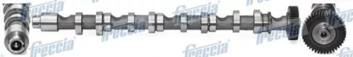 Nokkenas FRECCIA CM05-2196)