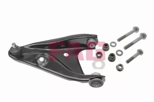 Control/Trailing Arm, wheel suspension Schaeffler FAG 821 0555 10)