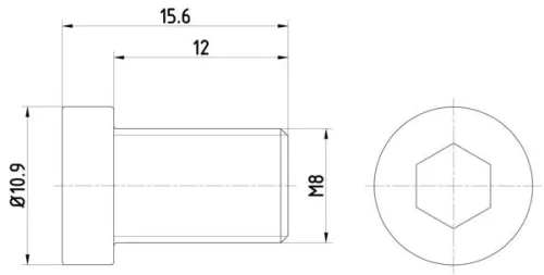 Bout, remschijf TEXTAR TPM0009)
