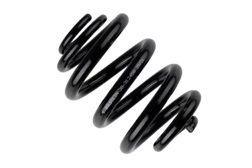 Veerophanging BILSTEIN 38-312458)