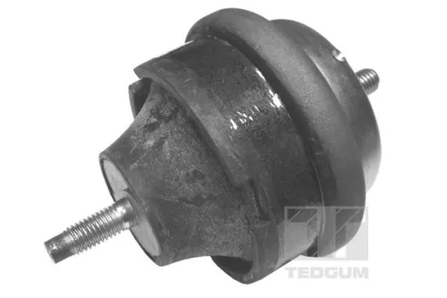 Mounting, engine TEDGUM 00145015)