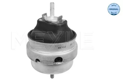 Montage, motor MEYLE 100 199 0225)