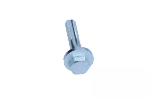 Cambercorrectieschroef MAXGEAR 49-5084)