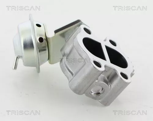 EGR-klep TRISCAN 8813 13060)