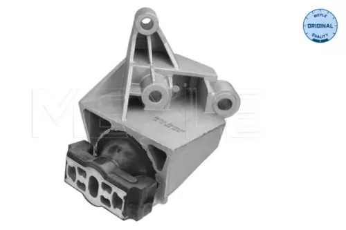 Montage, motor MEYLE 16-14 030 0036)