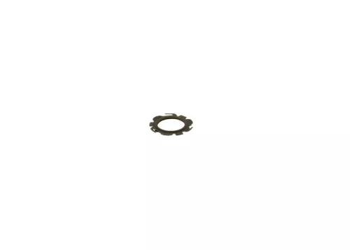Zegel BOSCH F 01C 215 022)