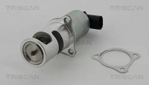 EGR-klep TRISCAN 8813 24037)