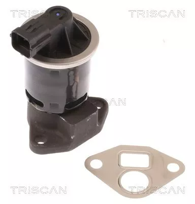 EGR-klep TRISCAN 8813 21004)