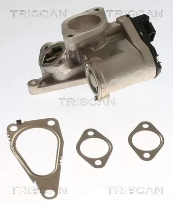 EGR-klep TRISCAN 8813 25201)