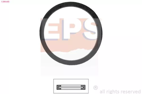 Seal, thermostat EPS 1.890.605)