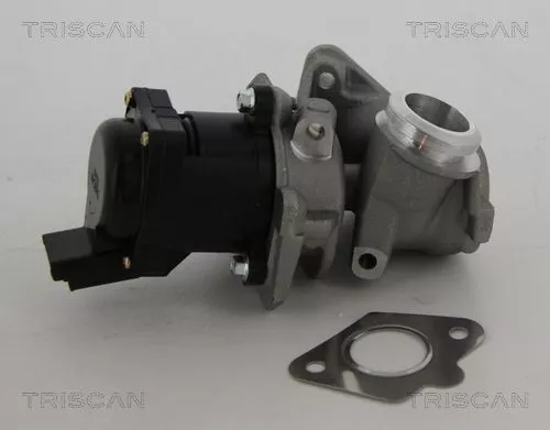 EGR-klep TRISCAN 8813 10010)
