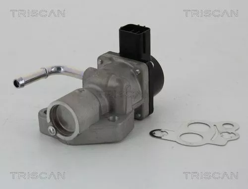 EGR-klep TRISCAN 8813 10014)