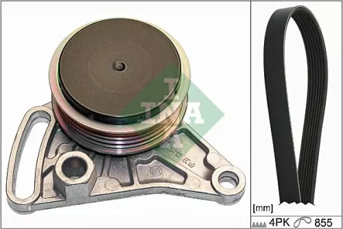 V-ribbed Belt Set Schaeffler INA 529 0099 10)