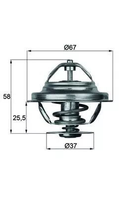 Thermostat, coolant MAHLE TX 20 80D)