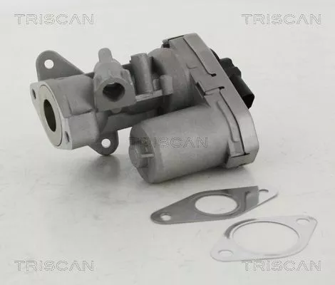 EGR-klep TRISCAN 8813 10002)