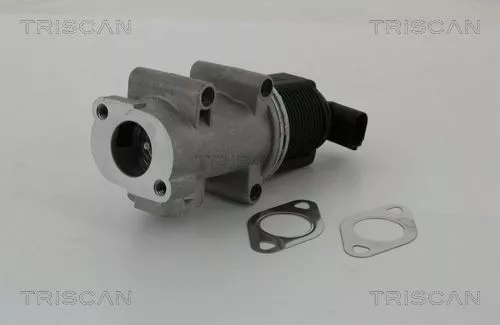 EGR-klep TRISCAN 8813 10005)