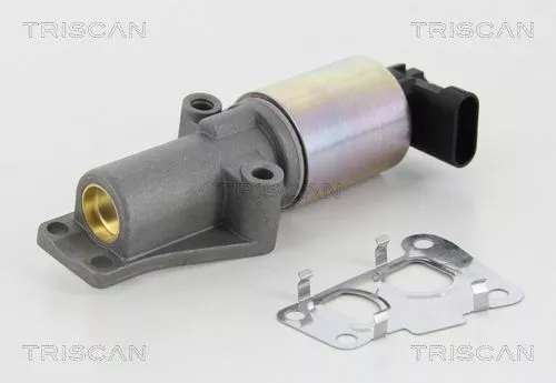EGR-klep TRISCAN 8813 24010)