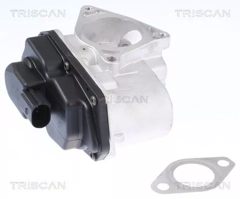 EGR-klep TRISCAN 8813 29003)