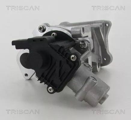 EGR-klep TRISCAN 8813 10007)
